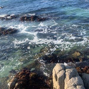 Meet your Posher, George